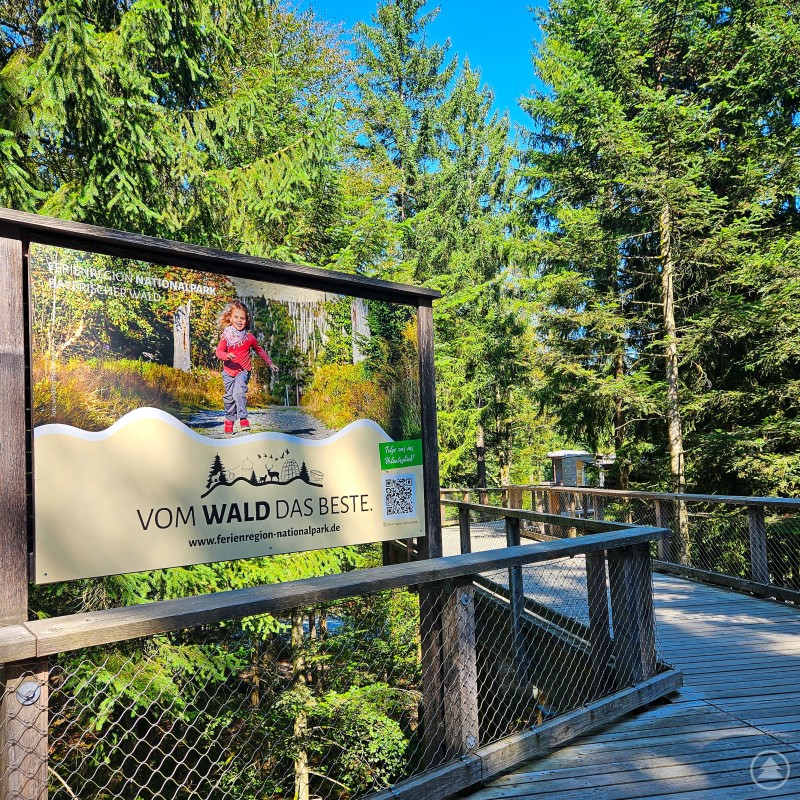 Werbefläche am Eingang des Baumwipfelpfades 02_2024_jubiläum_bwp_stand09_foto_fnbw_kralikandrea.jpeg