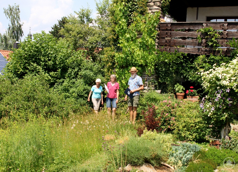 Eine blühende und nichtgemähte Wiese sahen Klaus Eder und seine Kollegin Rosemarie Wagenstaller (Mitte) mit Edith Lukaschik beim Rundgang in Regen.