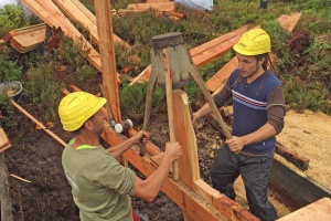 Helfer für die Moorrenaturierung gesucht