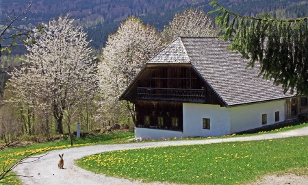 Ostermontag im Freilichtmuseum Finsterau