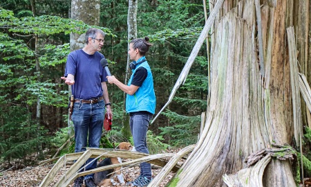 Wildnis schafft Wissen live on Stage - Nationalpark-Podcast beim ersten Podcast-Festival in Passau