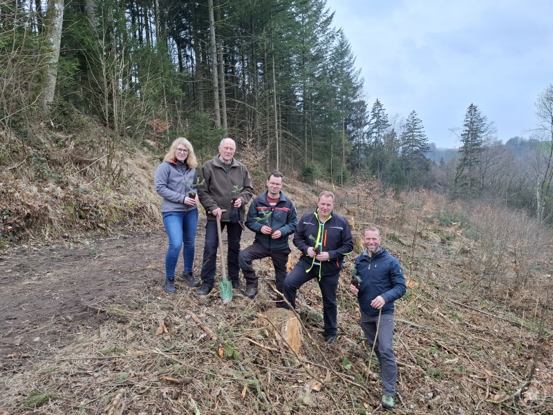 von links: Die Klassenlehrer Claudia Lang, Hans-Jörg Raml und Johannes Rührl mit Revierleiter Andreas Reis (AELF Passau, Forstrevier Untergriesbach) und Günter Kohl, Geschäftsführer des Bezirksvereins Wegscheid Eine kleinere Gruppe von fünf Erwachsenen posiert in einem abgeholzten Waldstück. Sie halten kleine Baumsetzlinge und Werkzeuge in den Händen, vermutlich als Symbol für die Aufforstungsaktion.