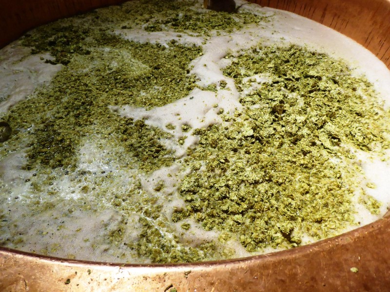 Flyer/Grafik zum Event: Vortrag: Hopfen, Malz und Binsenkraut am Do., 20.11.2025 von 18:00 bis 19:30 Uhr