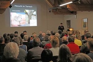 Einblicke in die Alkoholiker unter den Borkenkäfern