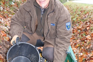 Nationalpark hilft Kröten und Molchen über die Straße