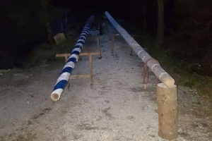 Gewinner beim Maibaumstehlen 2015