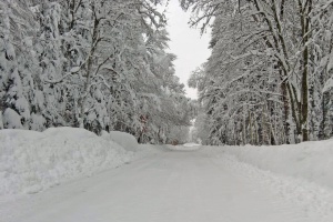 Nationalparkzentren bis Montag gesperrt