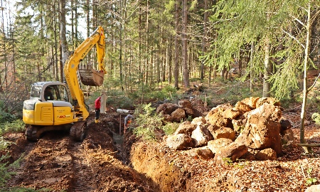 Wildkatzen-Gehege wird erweitert