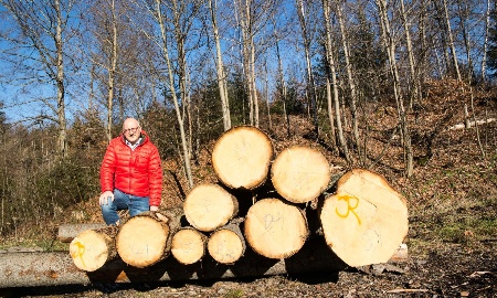 Wir benötigen Brennholz als wichtigen Baustein in der Energieerzeugung, um die Versorgung sicherzustellen