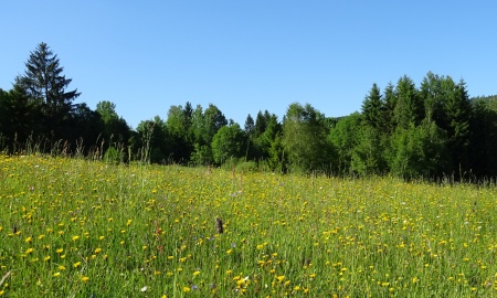 Vorbereitungen zur neuen Antragsphase des Naturschutzprogramms laufen an