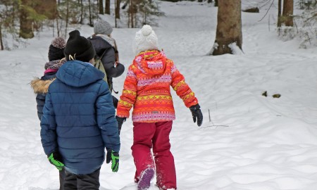 Kreatives und wilde Natur f&uuml;r Kinder in den Faschingsferien