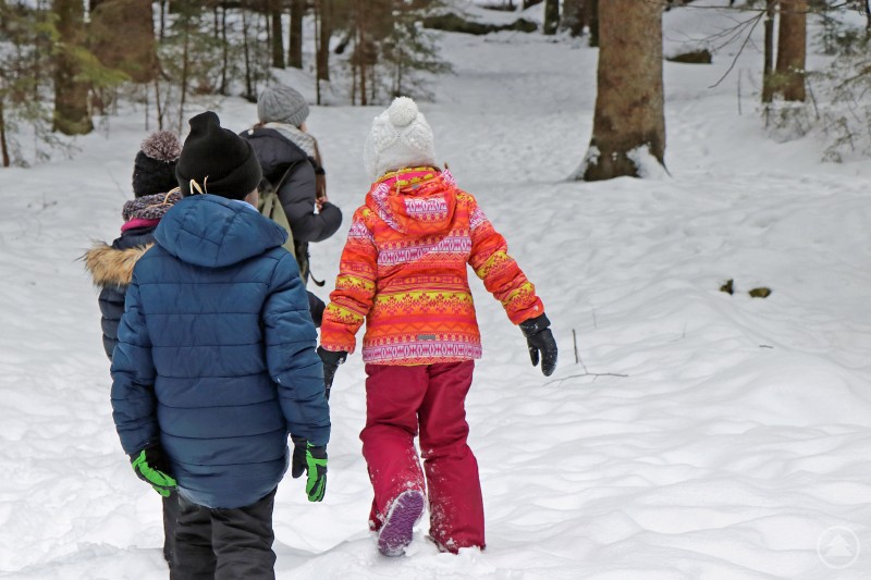 Auf spannende Entdeckungen im wilden Winterwald können sich Kinder in den Faschingsferien im Nationalpark freuen. Mehrere Kinder gehen warm angezogen durch eine verschneite Waldlandschaft im Nationalpark. Sie tragen Winterjacken, Mützen und Handschuhe und erkunden gemeinsam den winterlichen Wald.