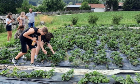Regionale Produkte vor unserer Haustüre
