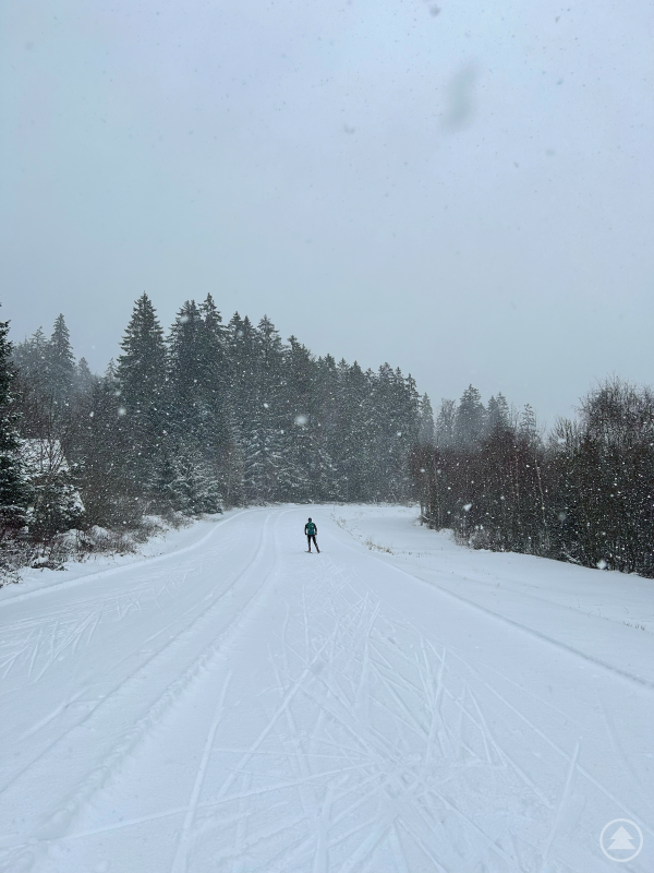 Loipenstart in Finsterau