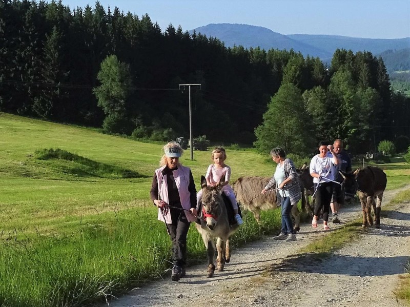 Flyer/Grafik zum Event: Esel-Tour am So., 29.06.2025 - So., 27.07.2025