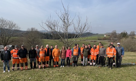 Bauh&ouml;fe lernen richtigen Obstbaumschnitt