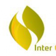 Dittlmann Partners | Inter Change Concept