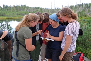 Auf der Suche nach Rindenschröter und Gartenschläfer