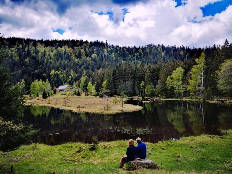 Flyer/Grafik zum Event: Der kleine Arbersee und seine Geheimnisse am Mi., 09.07.2025 - Mi., 27.08.2025