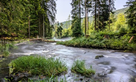 Flusswanderweg am Regen unter den Top 5 der schönsten Wanderwege Deutschlands