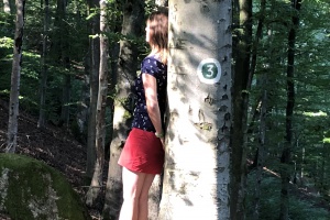 Naturerfahrung gegen Hektik im Alltag