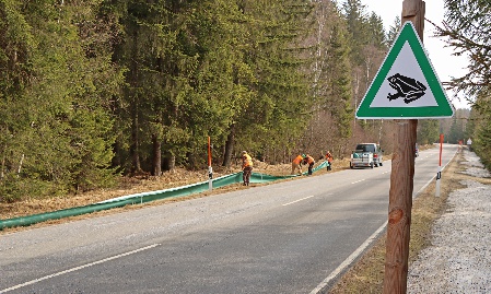 Wo queren Amphibien die Nationalparkstraße?