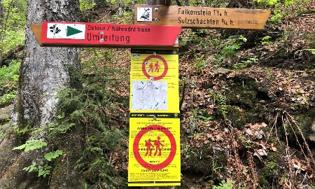 Brut der Wanderfalken wegen milder Witterung etwas  früher erwartet