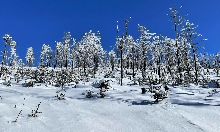 Mit Schneeschuhen auf den Lindberger Schachten