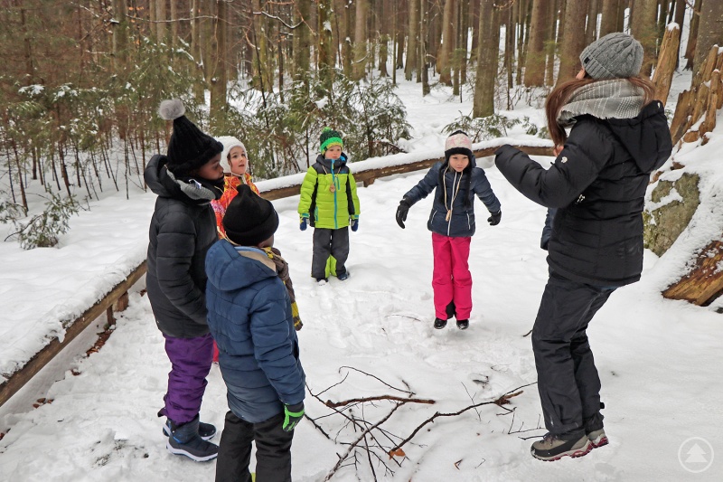Spielerisch den Nationalpark entdecken – das ist bei drei Veranstaltungen im Rahmen des Ferienprogramms in der Faschingswoche möglich.