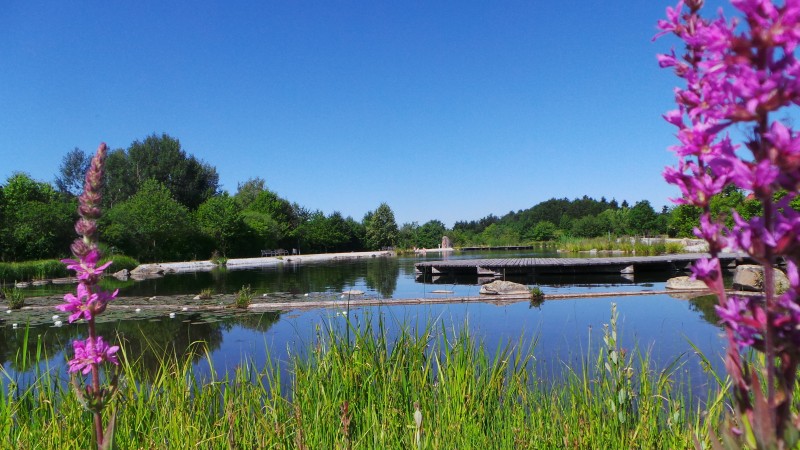 Flyer/Grafik zum Event: Führung im Feng Shui Kurpark am Do., 27.03.2025 - Do., 30.10.2025