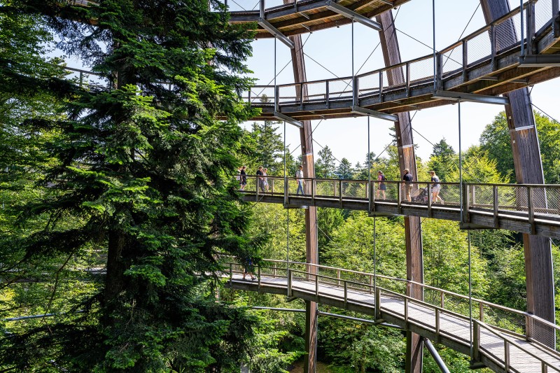 Flyer/Grafik zum Event: Feierabend-Tour über den Wipfeln 2025 am Fr., 18.07.2025 ab 19:00 Uhr