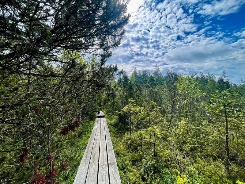 Flyer/Grafik zum Event: Meditative Wanderung um das Klosterfilz 2025 am Fr., 22.08.2025 ab 15:00 Uhr