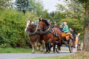 Vom Präsidenten zum Kutschfahrer: Beim Bayerischen Wald war es für Peter Schmid Liebe auf den ersten Blick