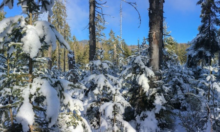 Gedanken des Christenmenschen in einer bröckelnden Welt