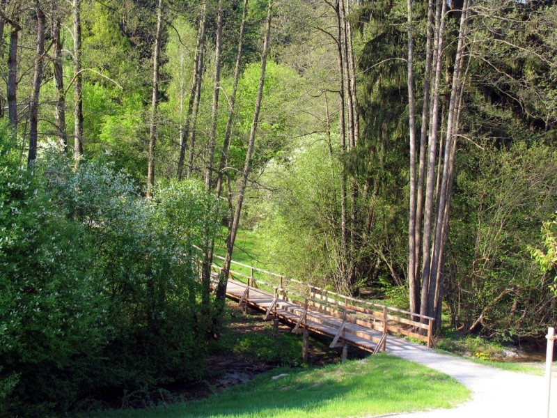 Flyer/Grafik zum Event: Waldbaden im Park – Energie tanken bei einem Frühlingswaldbad am So., 18.05.2025 ab 14:00 Uhr