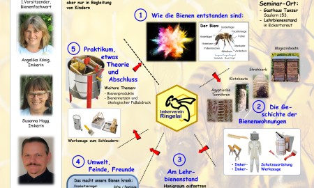 Bienenseminar für Kinder und Jugendliche "Den Bienen auf der Spur"