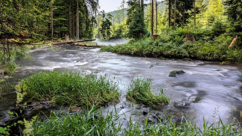Flyer/Grafik zum Event: Nationalpark exklusiv - Wilde Flusslandschaft am So., 08.06.2025 - So., 06.07.2025 von 10:15 bis 14:15 Uhr