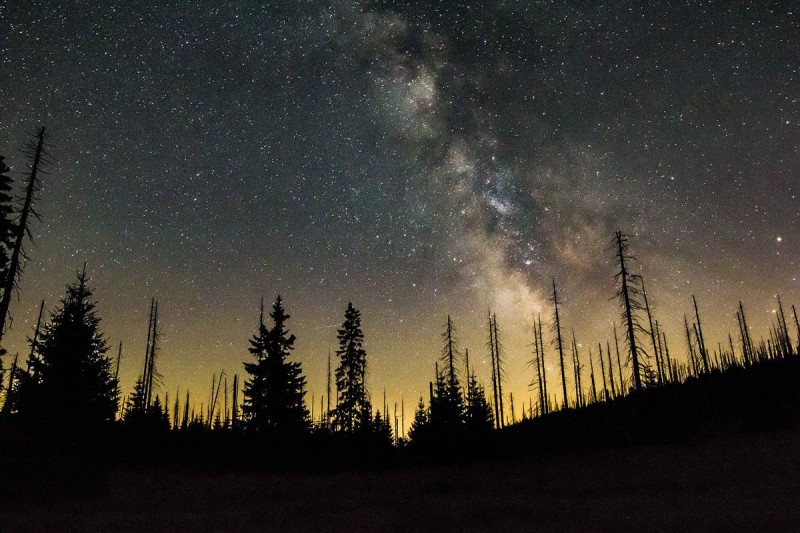Flyer/Grafik zum Event: NaturVision: Eröffnungsabend und Sternenpark-Festakt am Sa., 18.10.2025 von 19:00 bis 21:00 Uhr
