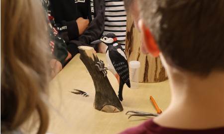 Wildnis zieht in die Grundschule Frauenau ein