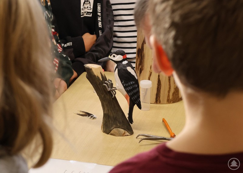 Mit allerlei Anschauungsmaterial lernten die Kinder zum Beispiel etwas über die Spechte im Nationalpark. Kinder betrachten an einem Tisch ein Specht-Modell und verschiedene Anschauungsmaterialien zum Thema Wald und Natur.