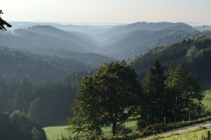 Natur statt Medizin – Pilotstudie im Ilzer Land