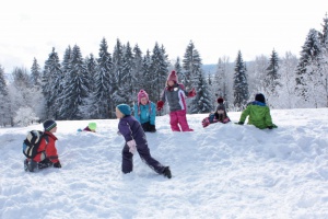Wintererlebnis im Nationalpark
