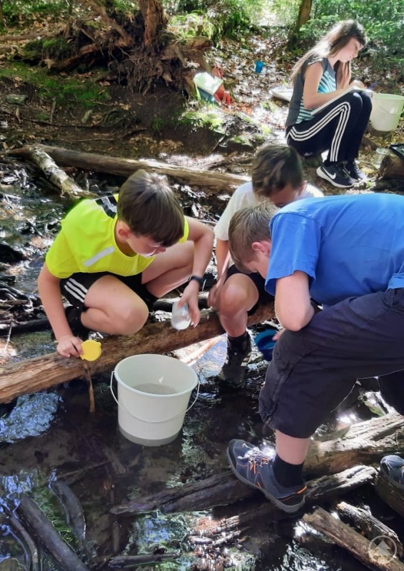 Die 6.-Klässler der Realschule Grafenau nahmen Wasserproben und zeichneten damit eigene Kunstwerke.