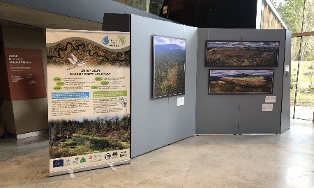 Moor-Renaturierungen aus der Vogelperspektive