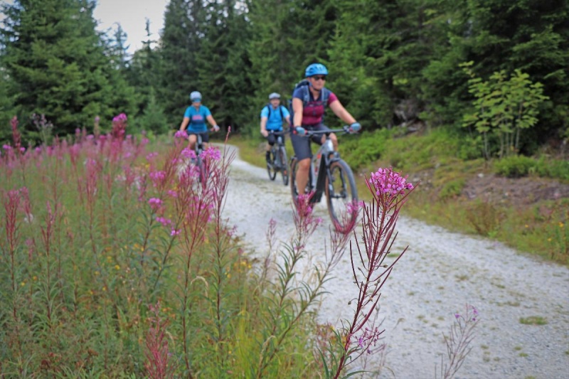 Flyer/Grafik zum Event: Grenzüberschreitende Radtour in die wilde Natur (Rachel-Lusen-Gebiet) am So., 19.05.2024 - So., 20.10.2024