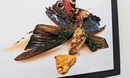 „VerGang“ im Museum Quintana: Eine Kunstausstellung zum Nachdenken und Mitfühlen