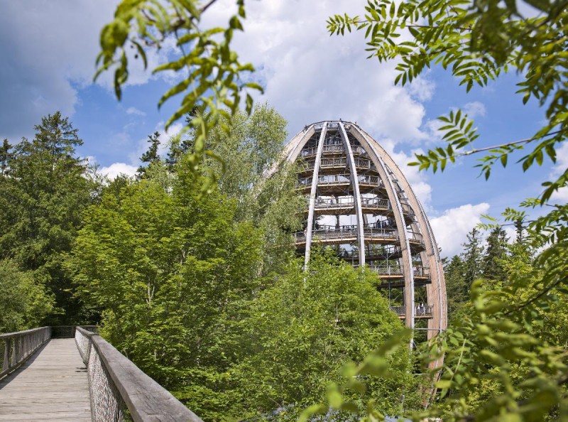 Flyer/Grafik zum Event: Muttertag am Baumwipfelpfad Bayerischer Wald am So., 11.05.2025 von 09:30 bis 18:00 Uhr