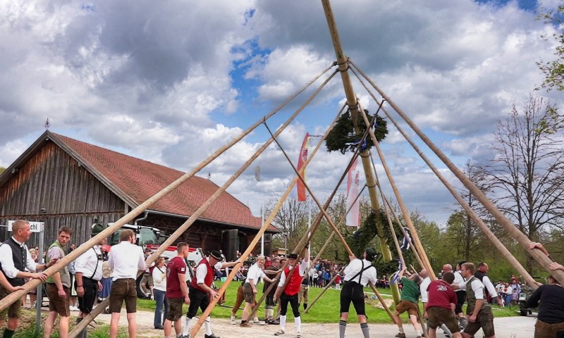 Flyer/Grafik zum Event: Maibaumaufstellen und Frühlingsfest am 1. Mai am Fr., 01.05.2026 ab 11:00 Uhr