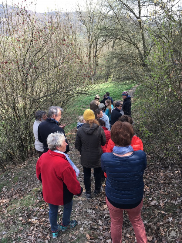 Die Teilnehmer der Naturerlebniswanderung am Kapellenhof bei der Erkundung der „artenreichsten Pferdeweide Deutschlands“.