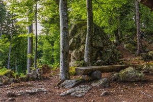 Preiswerter Urlaub im Bayerischen Wald: Die Highlights der Region